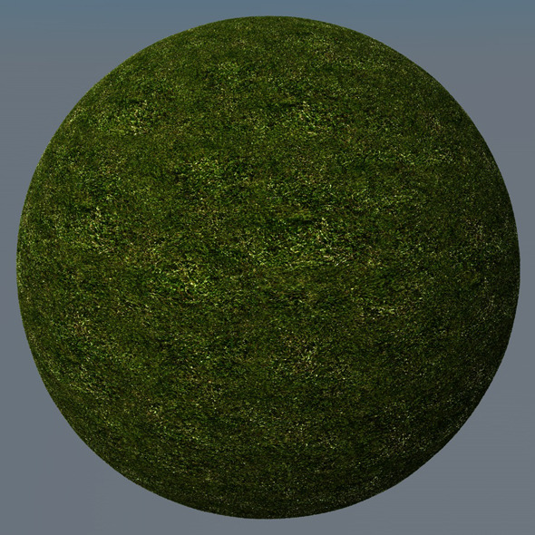 3DOcean Grass Landscape Shader 021 8781724 3DOcean Grass Landscape Shader 021 8781724
