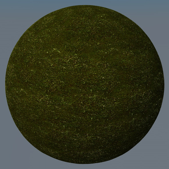 3DOcean Grass Landscape Shader 022 8781819 3DOcean Grass Landscape Shader 022 8781819