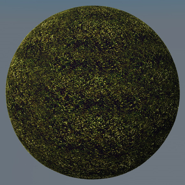 3DOcean Grass Landscape Shader 024 8782100 3DOcean Grass Landscape Shader 024 8782100