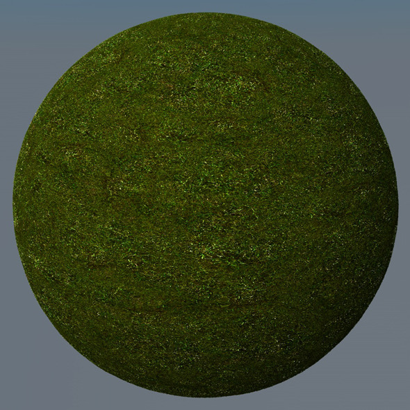 3DOcean Grass Landscape Shader 025 8782225 3DOcean Grass Landscape Shader 025 8782225