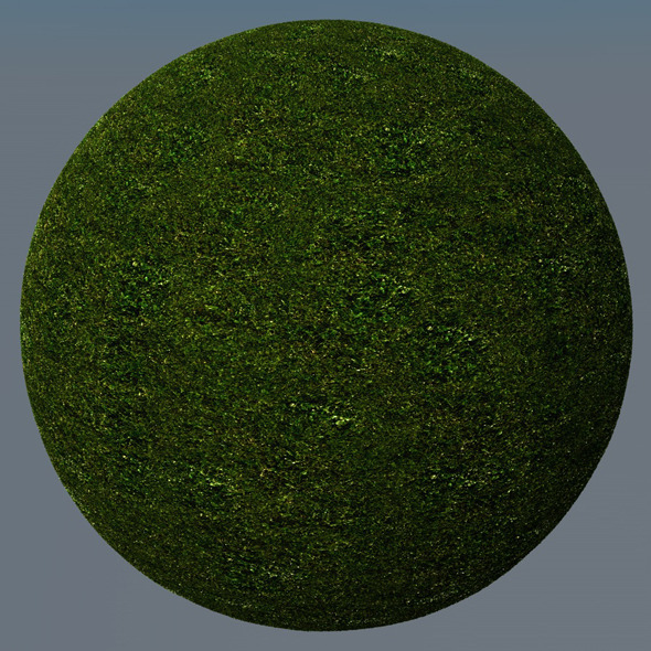 3DOcean Grass Landscape Shader 026 8782274 3DOcean Grass Landscape Shader 026 8782274