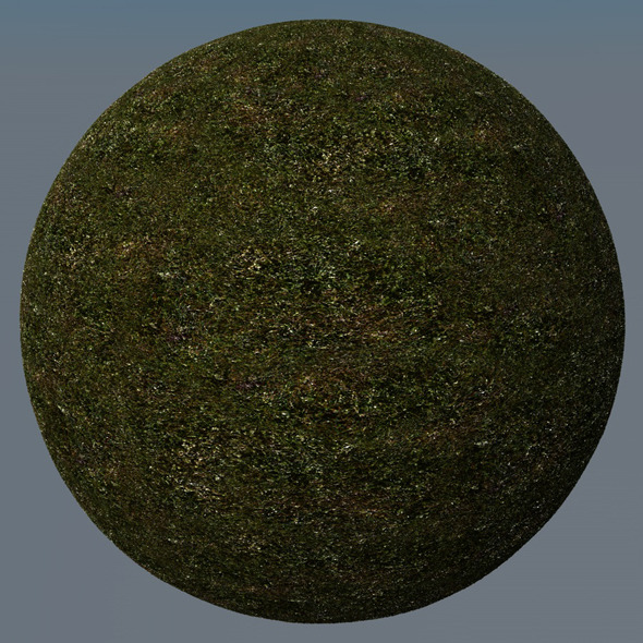 3DOcean Grass Landscape Shader 027 8782571 3DOcean Grass Landscape Shader 027 8782571
