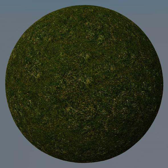 3DOcean Grass Landscape Shader 028 8782777 3DOcean Grass Landscape Shader 028 8782777