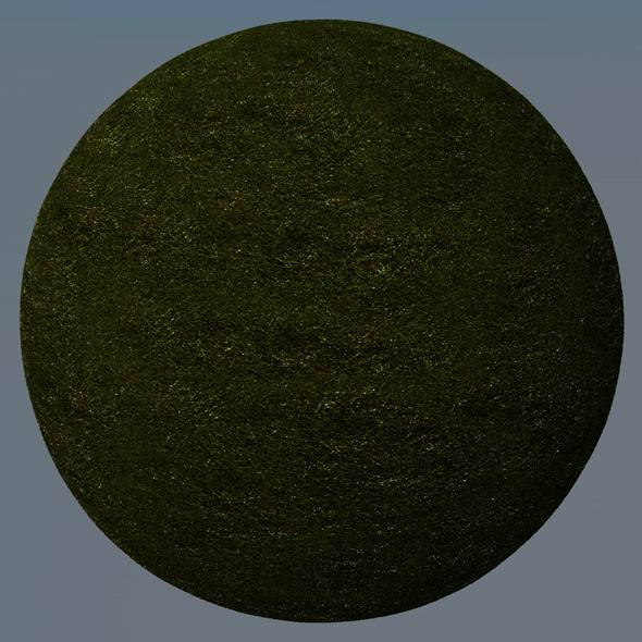 3DOcean Grass Landscape Shader 029 8782807 3DOcean Grass Landscape Shader 029 8782807