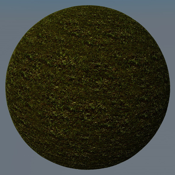 3DOcean Grass Landscape Shader 030 8782838 3DOcean Grass Landscape Shader 030 8782838