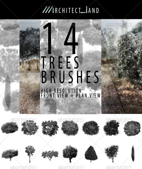 tree brushes photoshop plan