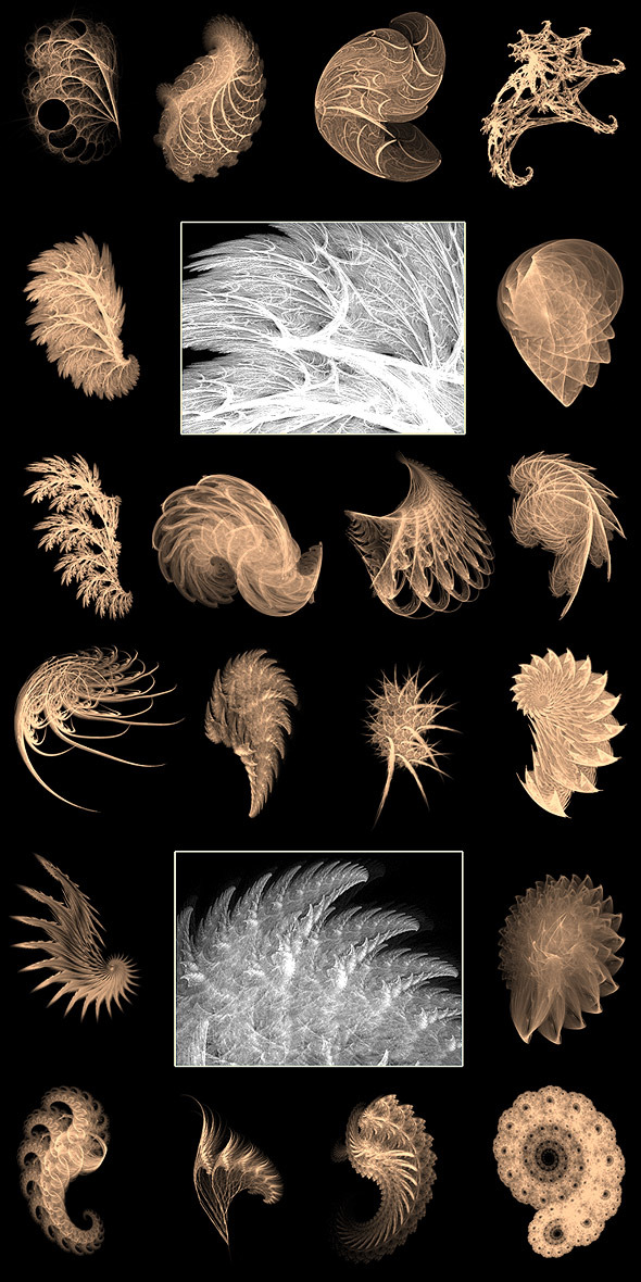 Flame Wings Brushes Flame Wings Brushes
