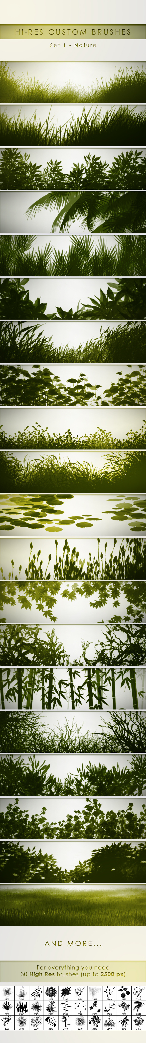 30 Hi-Res Custom Brushes Nature 30 Hi-Res Custom Brushes Nature