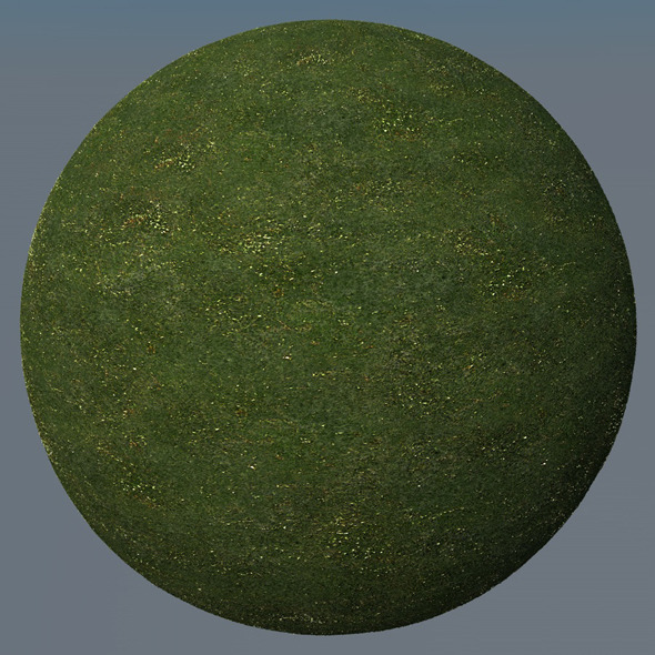 3DOcean Grass Landscape Shader 033 8791200 3DOcean Grass Landscape Shader 033 8791200
