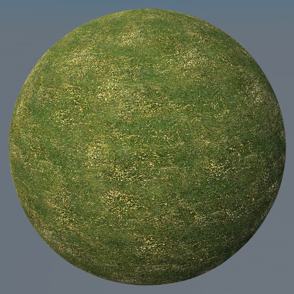 3DOcean Grass Landscape Shader 036 8791772 3DOcean Grass Landscape Shader 036 8791772