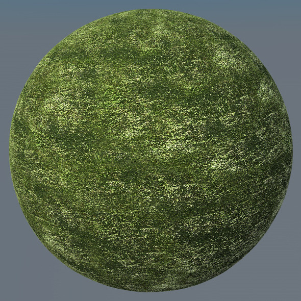 3DOcean Grass Landscape Shader 037 8791952 3DOcean Grass Landscape Shader 037 8791952