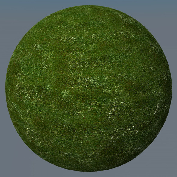 3DOcean Grass Landscape Shader 038 8792023 3DOcean Grass Landscape Shader 038 8792023