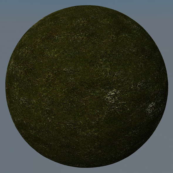 3DOcean Grass Landscape Shader 039 8792237 3DOcean Grass Landscape Shader 039 8792237
