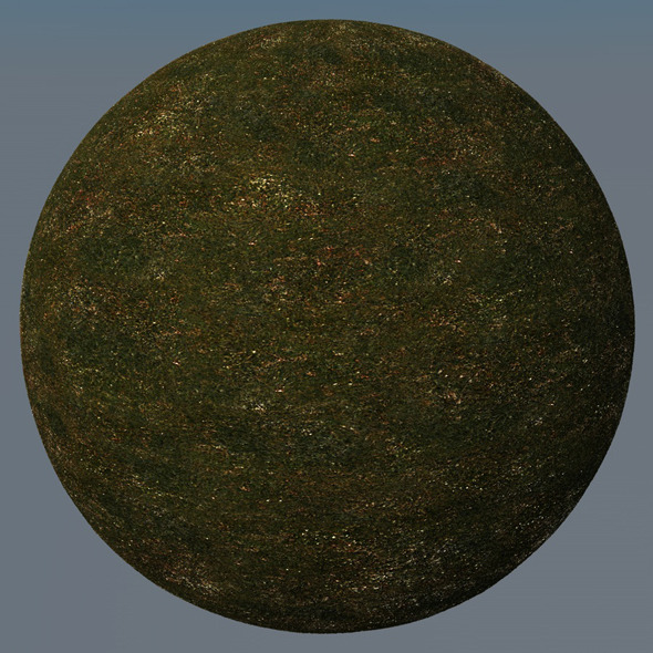 3DOcean Grass Landscape Shader 044 8793081 3DOcean Grass Landscape Shader 044 8793081