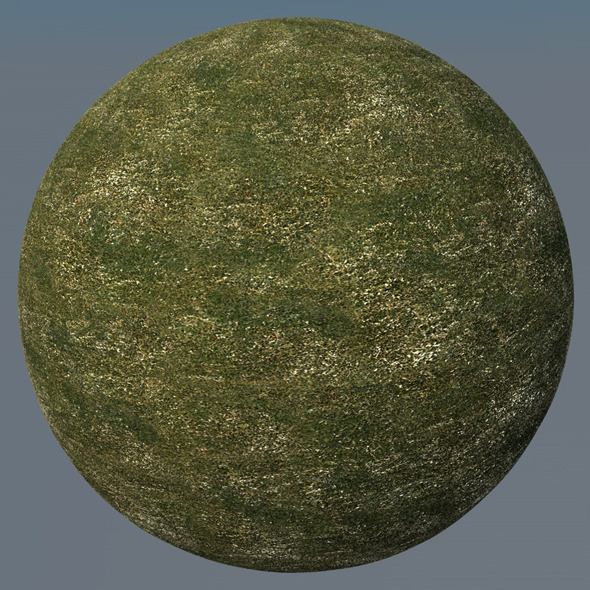 3DOcean Grass Landscape Shader 047 8793322 3DOcean Grass Landscape Shader 047 8793322
