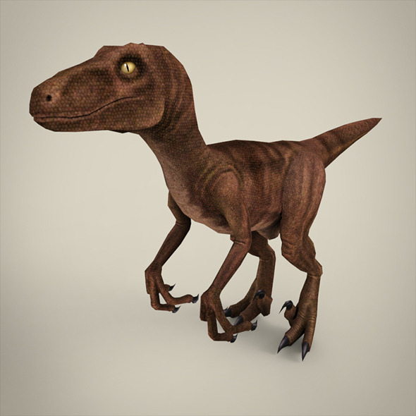 3DOcean Raptor 8793590 3DOcean Raptor 8793590