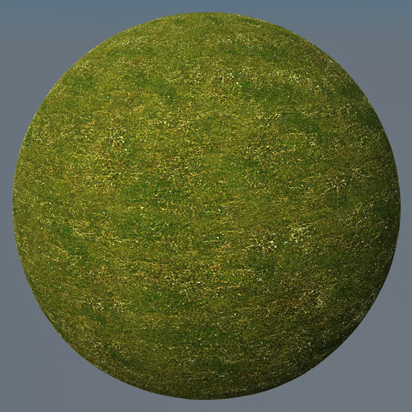 3DOcean Grass Landscape Shader 050 8793743 3DOcean Grass Landscape Shader 050 8793743
