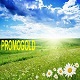 promogold