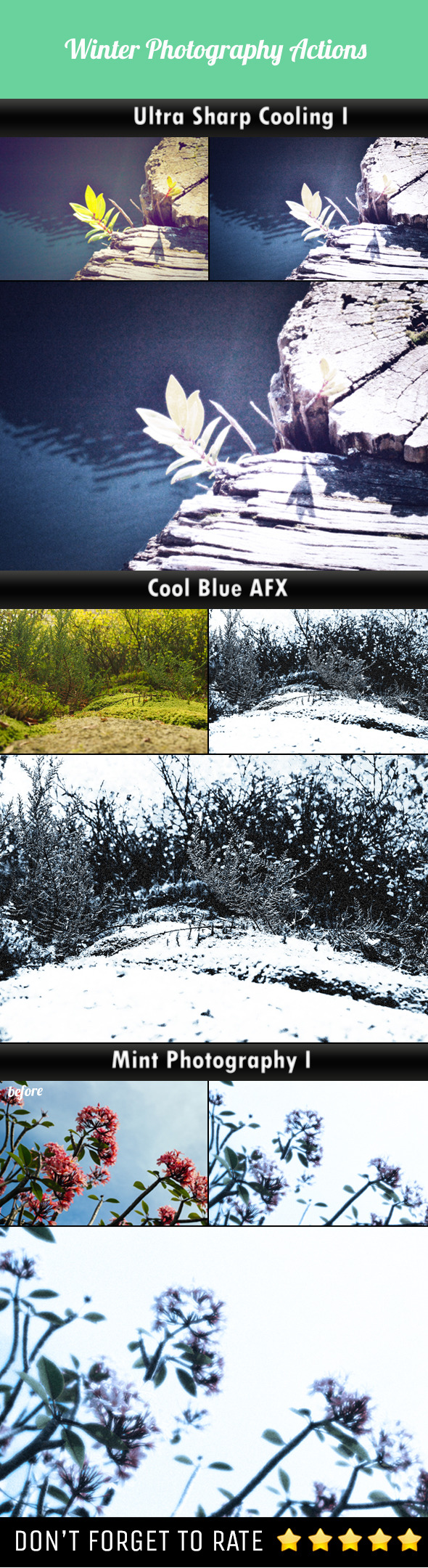 Winter Photography Photoshop Actions Winter Photography Photoshop Actions