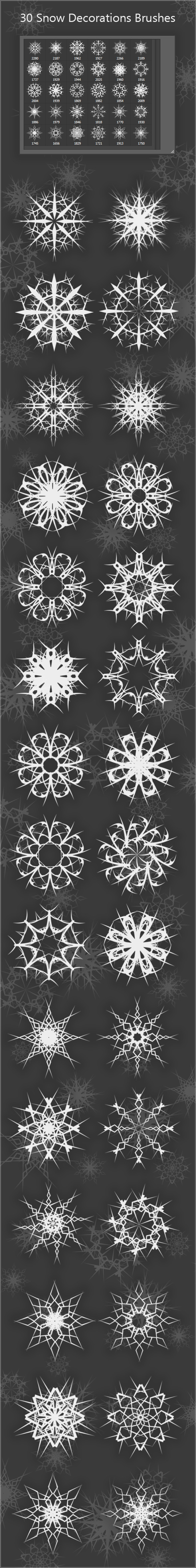 30 Snow Decorations Brushes 2000px 30 Snow Decorations Brushes 2000px