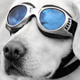 ThemeForest profile picture for @impact