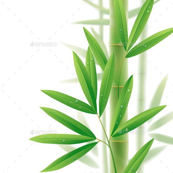 GraphicRiver Bamboo 8813371 GraphicRiver Bamboo 8813371