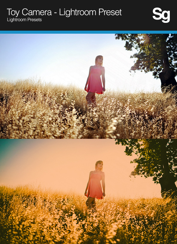Toy Camera Lightroom Preset Toy Camera Lightroom Preset