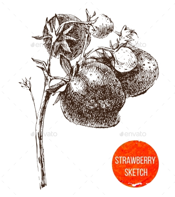 GraphicRiver Hand Drawn Strawberry 8819654 GraphicRiver Hand Drawn Strawberry 8819654