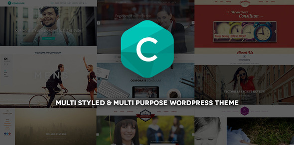 Consilium - Multi-Styled & Multi-Purpose Theme