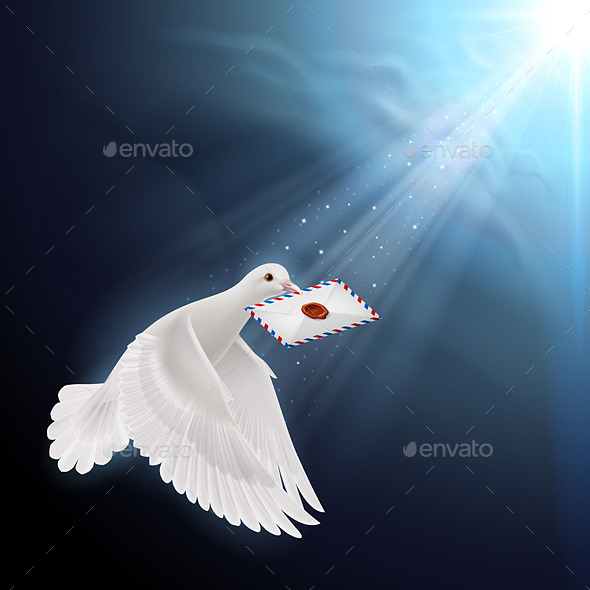GraphicRiver Dove White 8823915 GraphicRiver Dove White 8823915