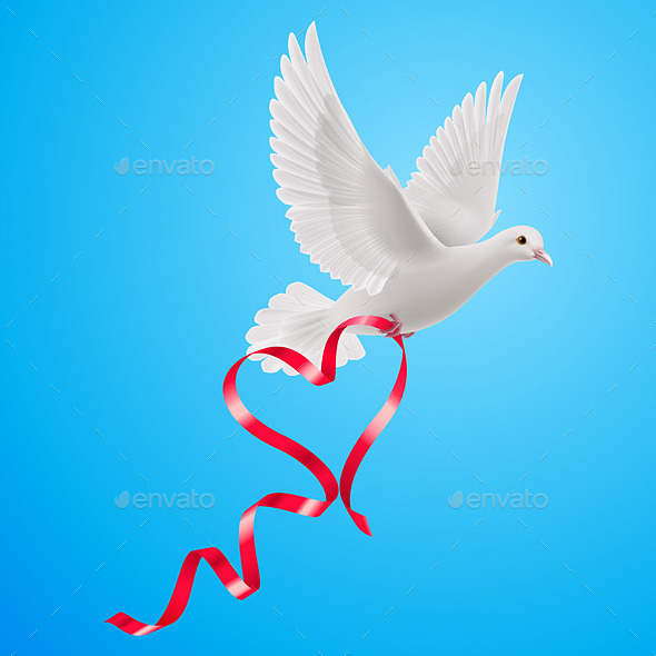 GraphicRiver Dove 8824206 GraphicRiver Dove 8824206