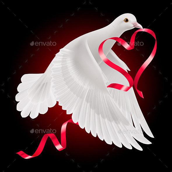 GraphicRiver Dove 8824213 GraphicRiver Dove 8824213