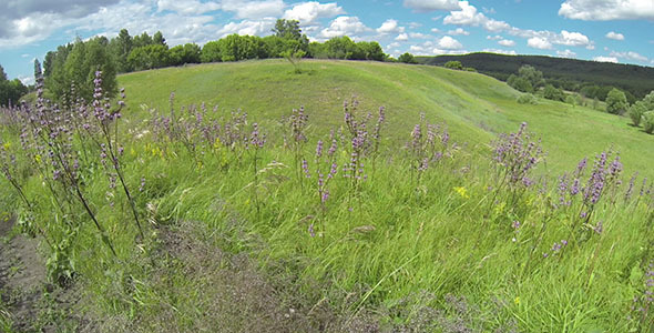 Green Meadow 7 Green Meadow 7