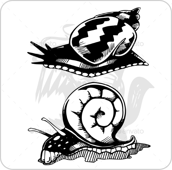 GraphicRiver Set os Snails 8847348 GraphicRiver Set os Snails 8847348