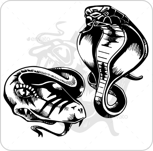 GraphicRiver Aggressive Cobra Set 8847365 GraphicRiver Aggressive Cobra Set 8847365