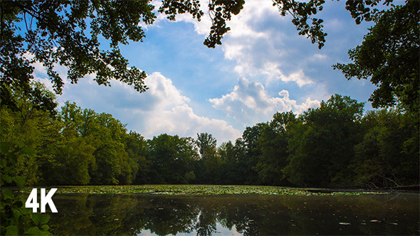 Lake and Clouds in the Forest Lake and Clouds in the Forest