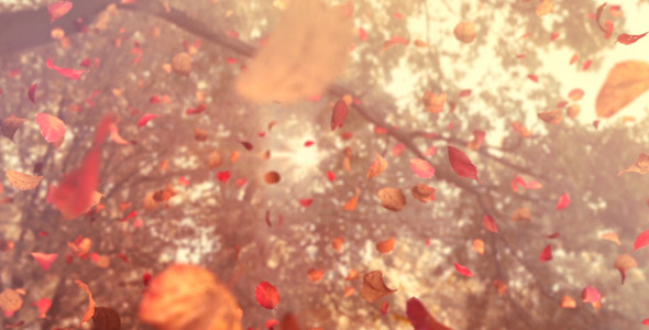 Autumn Flying Leafs Autumn Flying Leafs
