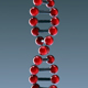 DNA Double Helix DNA Double Helix - VideoHive Item for Sale