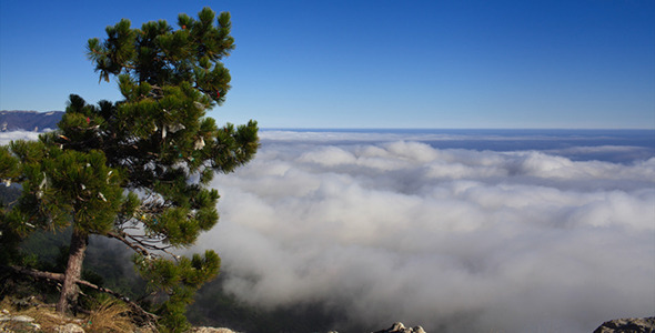 Top View of the Clouds Top View of the Clouds