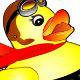 siteducky