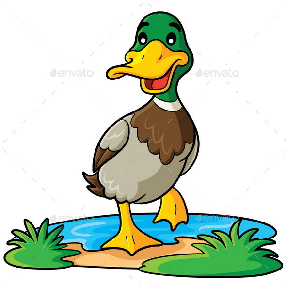 Duck Cartoon Duck Cartoon