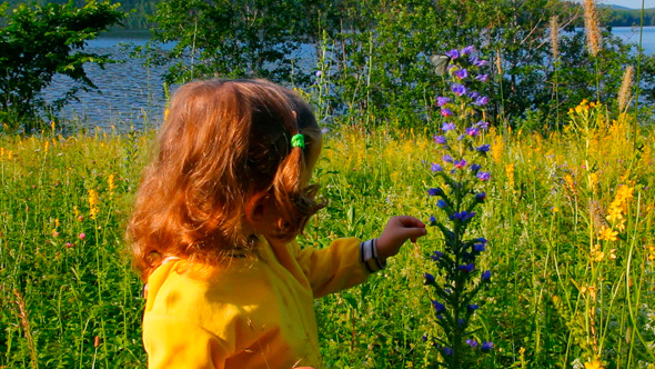 Little Girl And Butterfly Little Girl And Butterfly