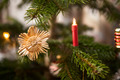 Photo of Christmas star tree | Free christmas images