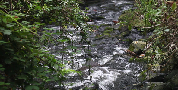 Creek 2 Creek 2