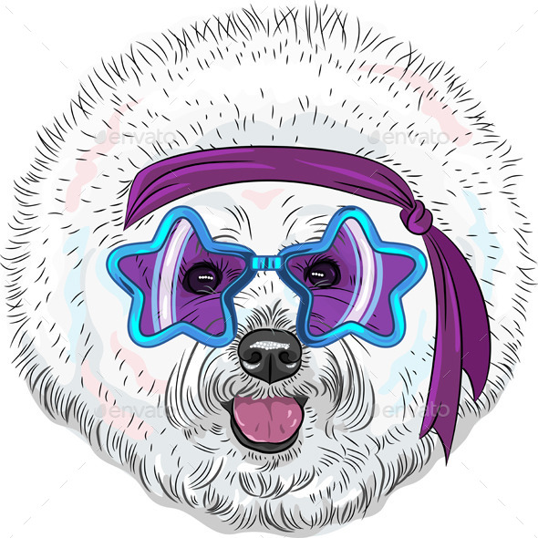 GraphicRiver cartoon hipster dog Bichon Star Disco 8892304 GraphicRiver cartoon hipster dog Bichon Star Disco 8892304