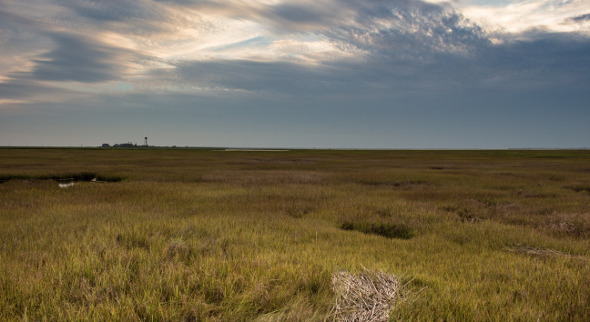 Factory Island Landscape in Southern New Jersey Factory Island Landscape in Southern New Jersey