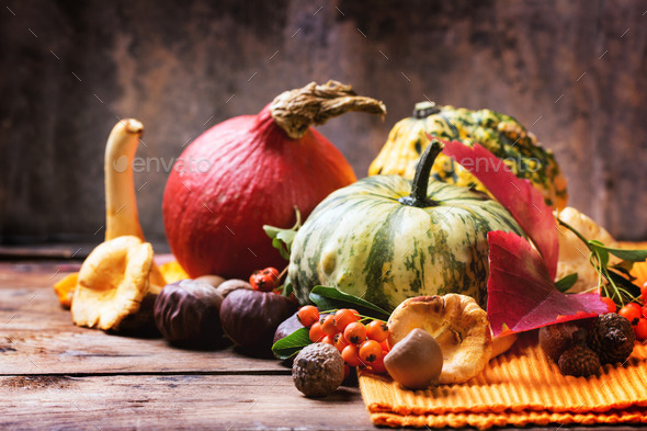 Pumpkins, nuts and berries (Misc) Photo Download