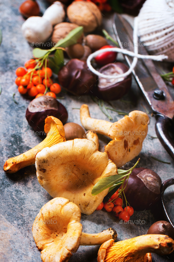 Chanterelle mushrooms with old scissors (Misc) Photo Download