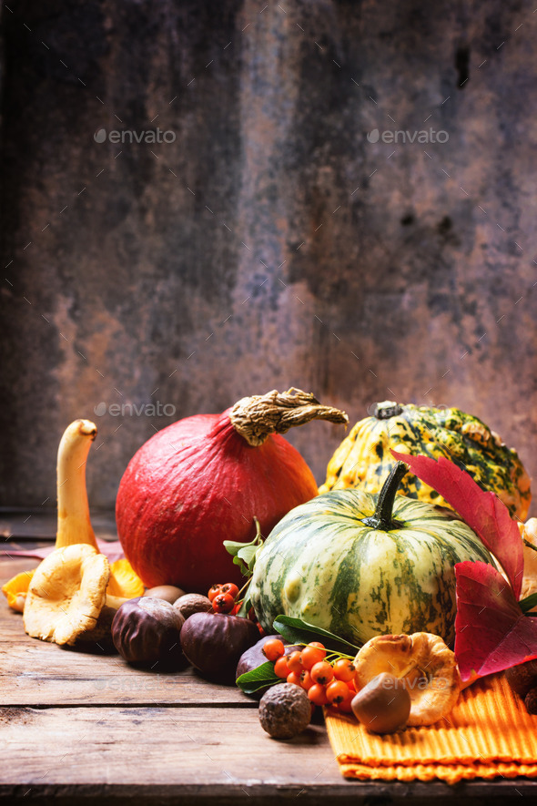 Pumpkins, nuts and berries (Misc) Photo Download