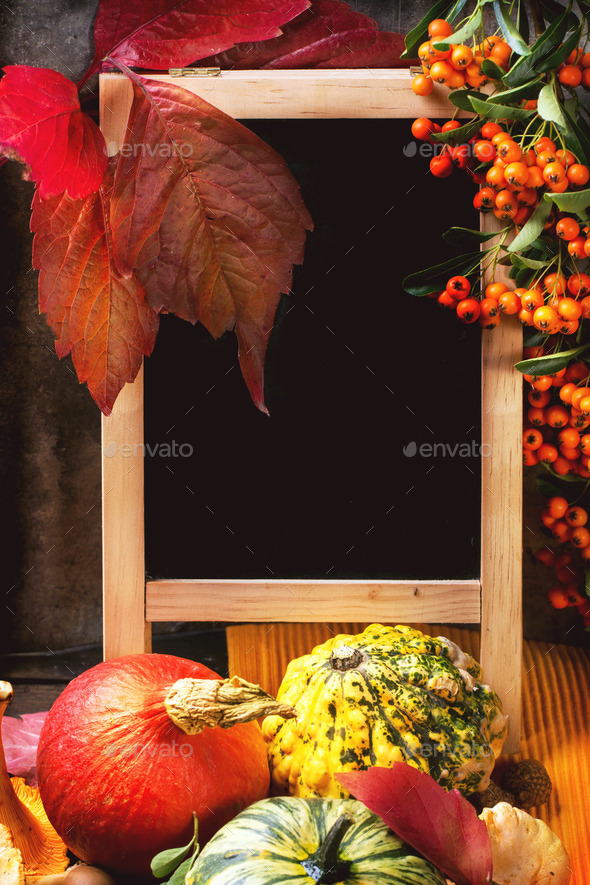 Pumpkins, nuts and empty chalkboard (Misc) Photo Download